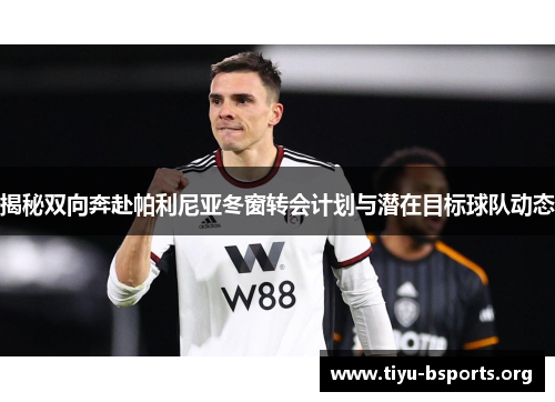 揭秘双向奔赴帕利尼亚冬窗转会计划与潜在目标球队动态 揭秘双向奔赴帕利尼亚冬窗转会计划与潜在目标球队动态