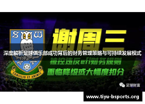 深度解析足球俱乐部成功背后的财务管理策略与可持续发展模式