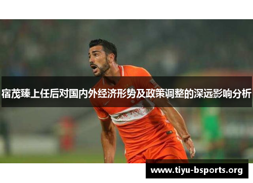 宿茂臻上任后对国内外经济形势及政策调整的深远影响分析