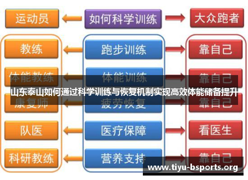 山东泰山如何通过科学训练与恢复机制实现高效体能储备提升 山东泰山如何通过科学训练与恢复机制实现高效体能储备提升