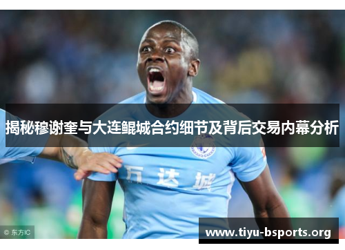 揭秘穆谢奎与大连鲲城合约细节及背后交易内幕分析 揭秘穆谢奎与大连鲲城合约细节及背后交易内幕分析