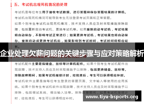 企业处理欠薪问题的关键步骤与应对策略解析