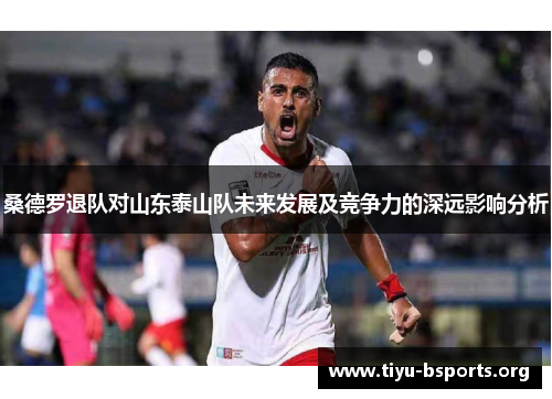 桑德罗退队对山东泰山队未来发展及竞争力的深远影响分析