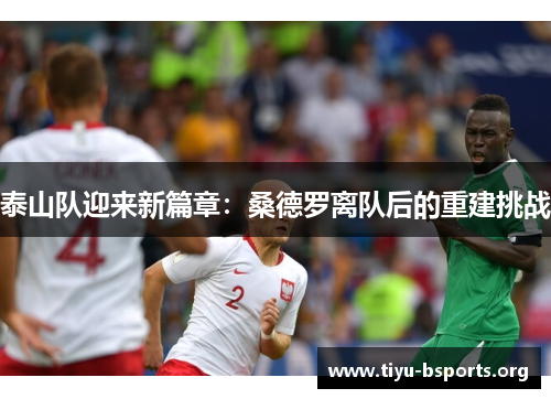 泰山队迎来新篇章：桑德罗离队后的重建挑战