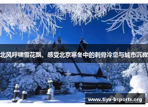 北风呼啸雪花飘，感受北京寒冬中的刺骨冷意与城市沉寂