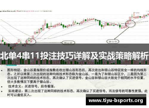 北单4串11投注技巧详解及实战策略解析