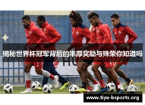 揭秘世界杯冠军背后的丰厚奖励与殊荣你知道吗 揭秘世界杯冠军背后的丰厚奖励与殊荣你知道吗
