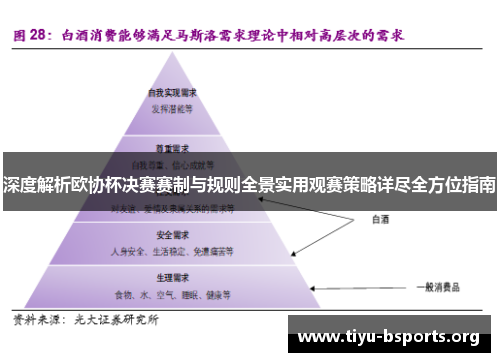 深度解析欧协杯决赛赛制与规则全景实用观赛策略详尽全方位指南